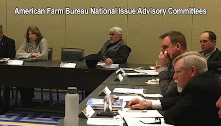 Four Montanans to serve on national agricultural issues committees