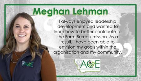 Reaching Across the Fence - Meghan Lehman