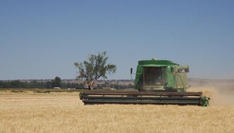 Congress Must Not Leave Farmers in a Lurch