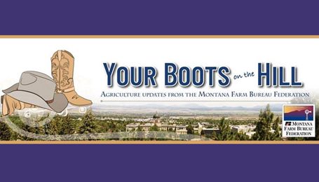 Boots on the Hill: Week 14 Taxes, Veterinarian Loans and an Interim Study