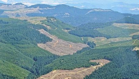 Farm Bureau supports repealing Roadless Rule