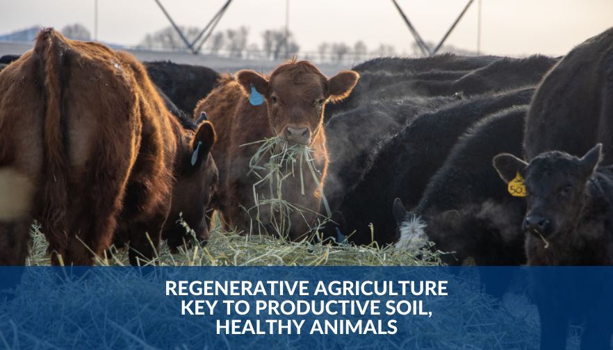 Regenerative agriculture key to productive soil, healthy animals