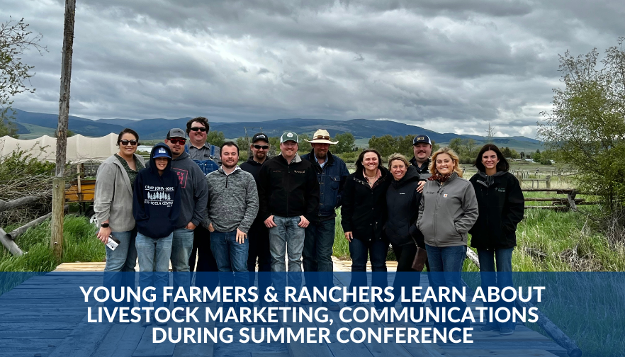 Young Farmers & Ranchers learn about livestock marketing, communications during summer conference