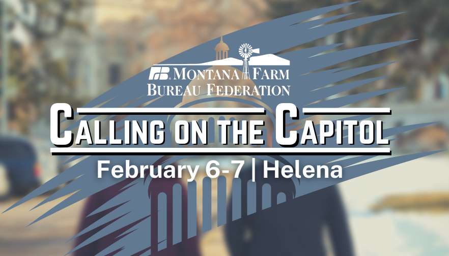Calling on the Capitol