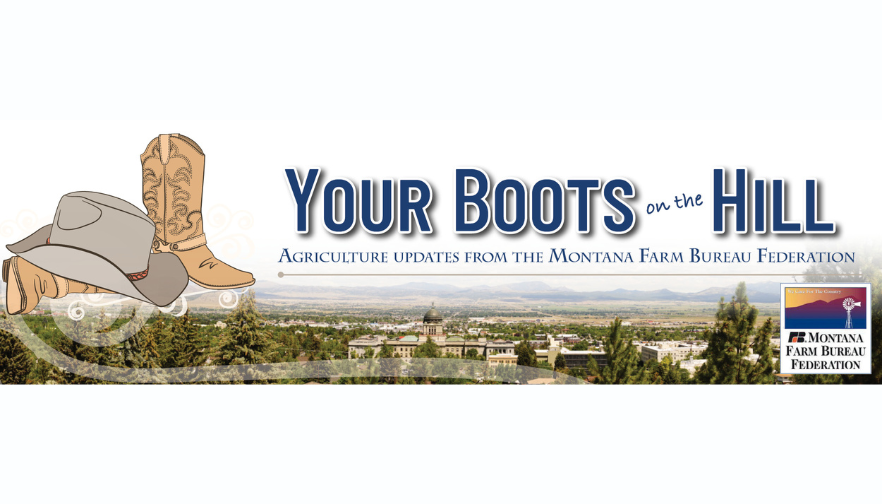 Boots On The Hill: Successful Calling on the Capitol and members testify in hearings
