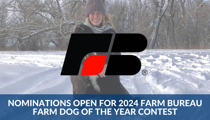 Nominations Open For 2024 Farm Bureau Farm Dog Of The Year Contest   040623 154624