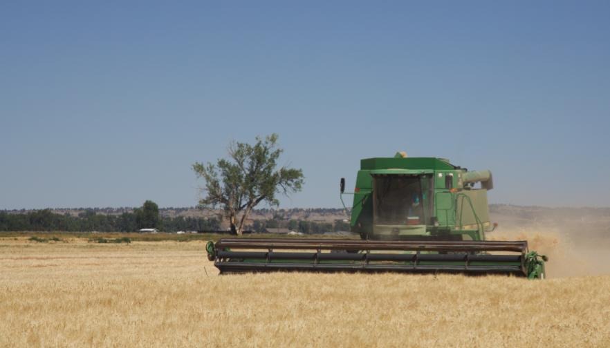Congress Must Not Leave Farmers in a Lurch