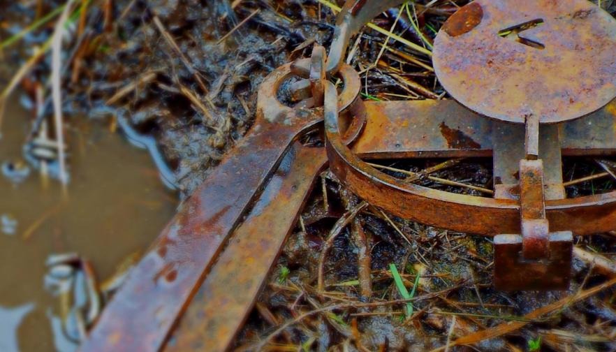 MFBF speaks out on Montana trapping regulations