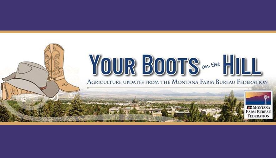 Boots on the Hill: Week 14 Taxes, Veterinarian Loans and an Interim Study