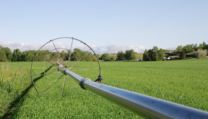 Proposed WOTUS Rule Brings Certainty to Farmers