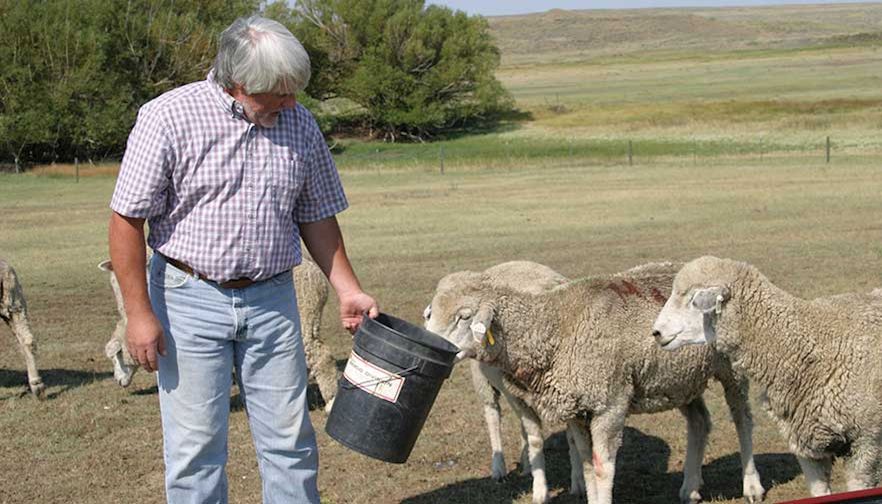 Eleven Enviro-Facts about Farmers and Ranchers