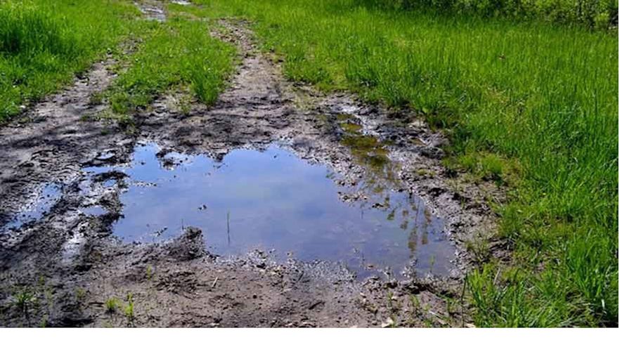 Farm Bureau Files Brief Supporting Water Rule Opponents