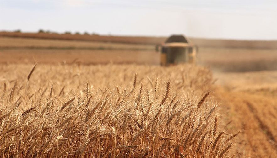 Montana Farm Bureau pleased with farm bill progress