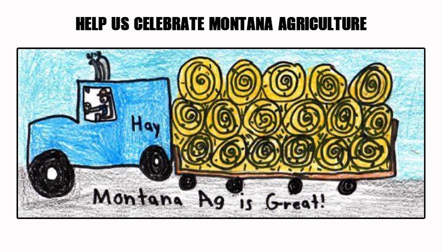 Winners of “Montana Ag in Color” drawing contest announced