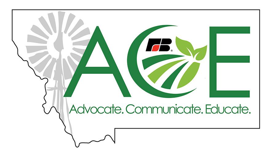 ACE program graduates forge ahead with advocacy