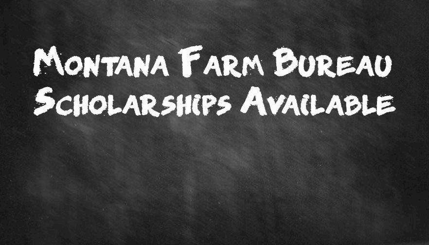 Montana Farm Bureau offers scholarships for higher education