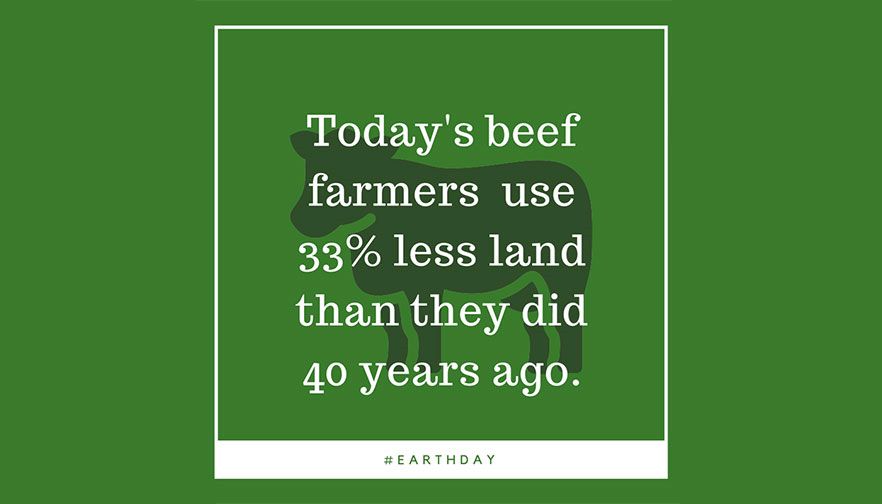 Today's ranchers use 33% less land than they did 40 years ago.