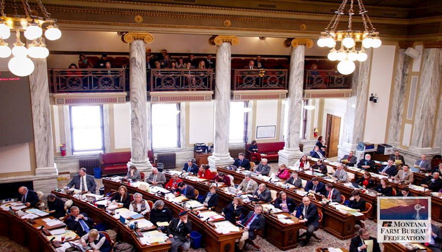 Interim Committees Tackle Tough Topics