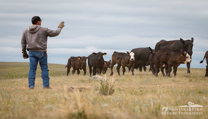 Rural Advocacy Calls for Creativity