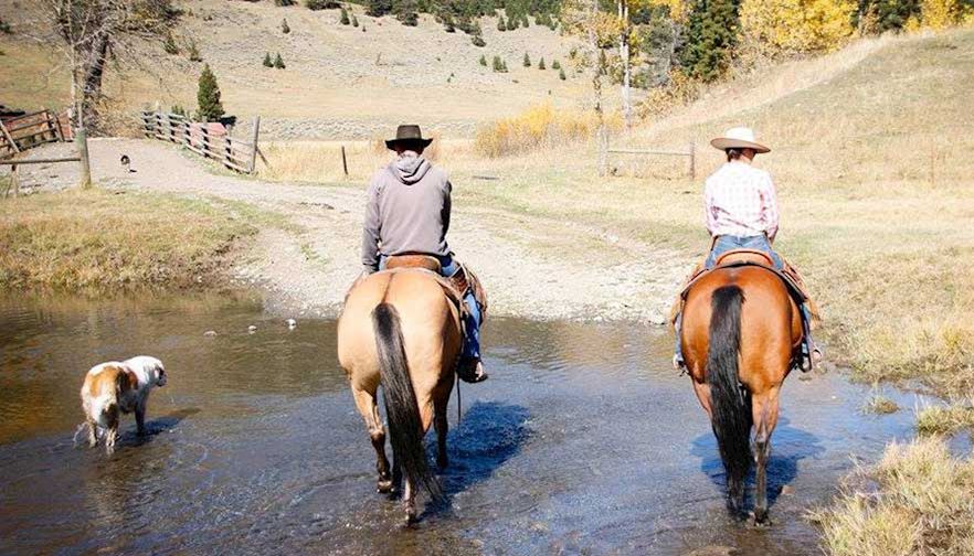 Ranching in Montana