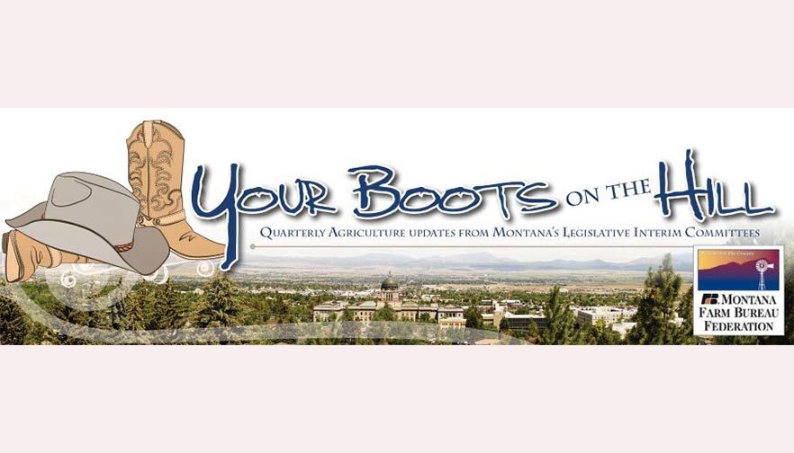 Your Boots on the Hill - April 2020 - June 2020