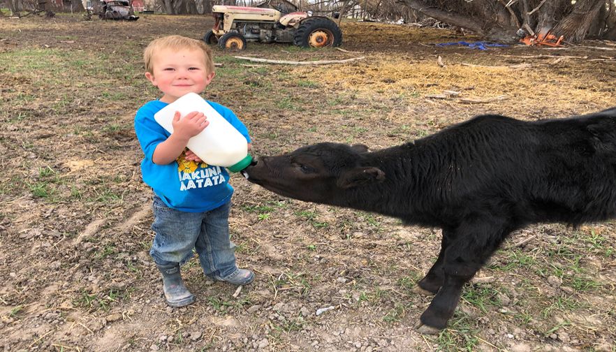 Learning starts young on a ranch