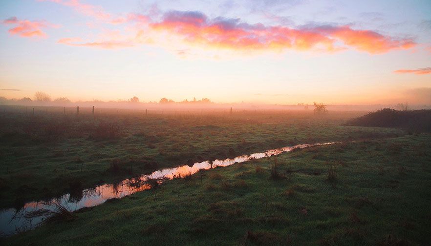 Ag groups, State prevail in water rights case