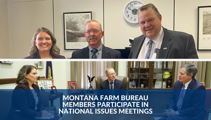 Montana Farm Bureau members participate in national issues meetings