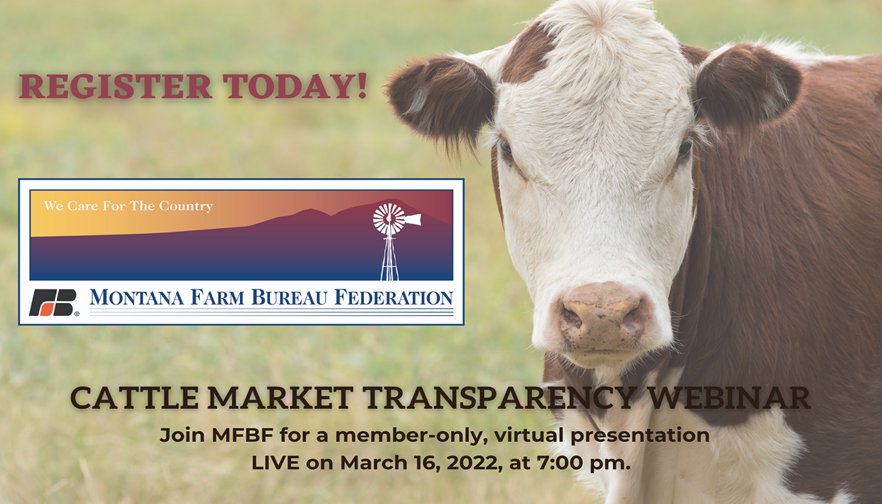 Cattle Market Transparency Webinar 