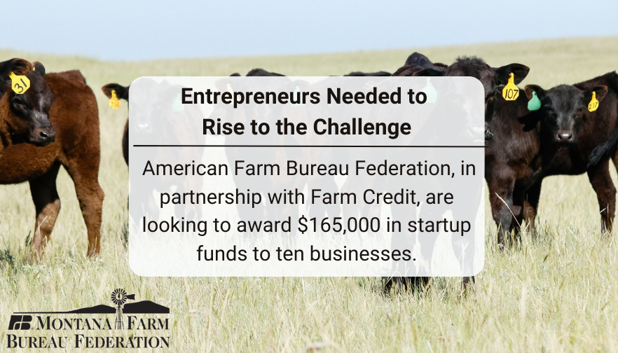 Entrepreneurs Wanted: Apply by April 29 for Farm Bureau Ag Innovation Challenge