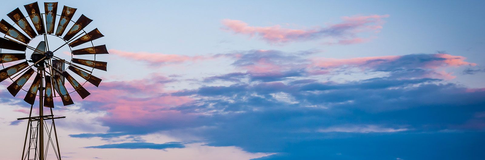 MFBF Summer Conference